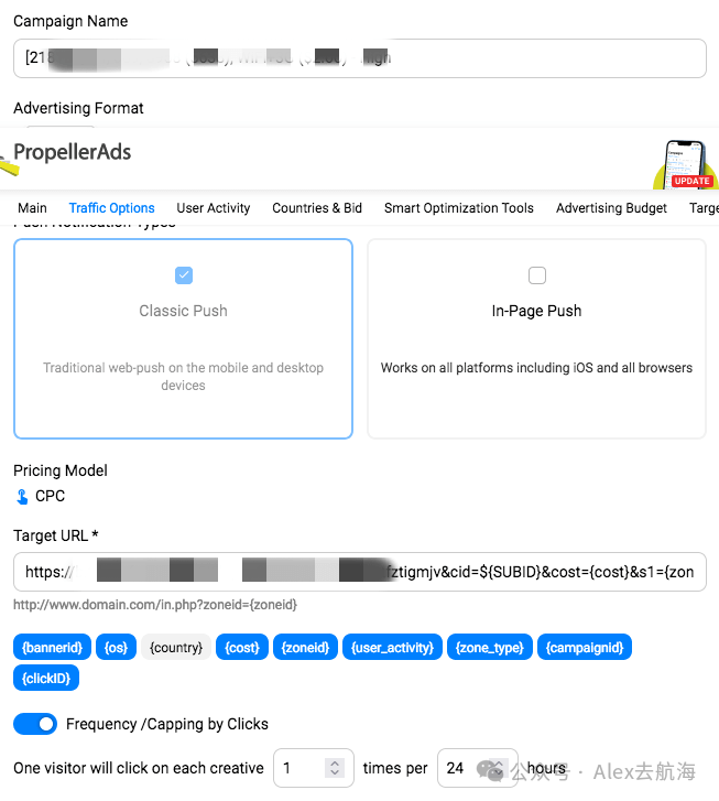 PropellerAds后台campaign设置界面